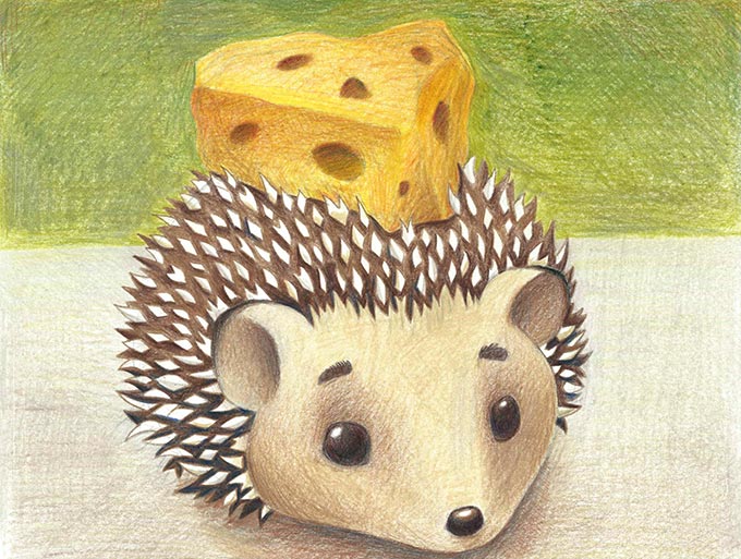 hedgehog illustration with cheese head