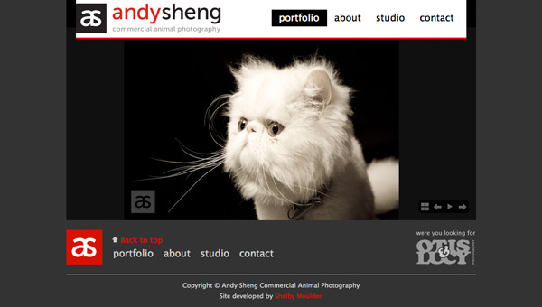 Home page of Andy Sheng website